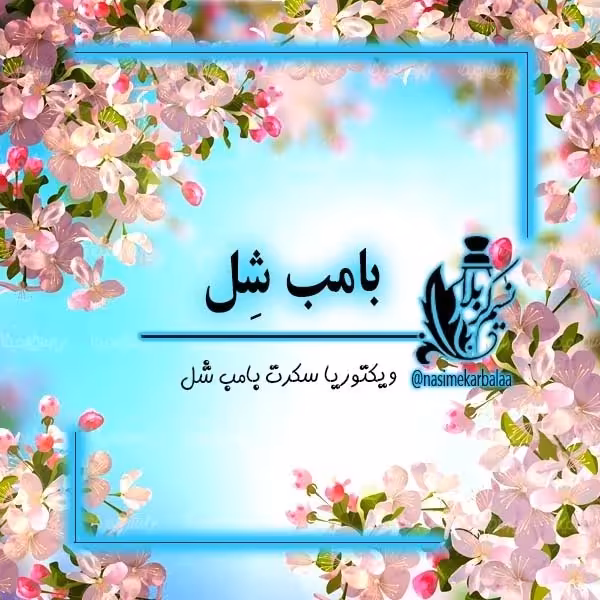 عطر بامب شل  (ویکتوریا سکرت بامبشل)درجه یک و با پخش بوی عالی و خیلی خاص(یک گرم)