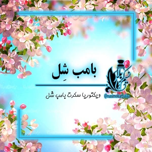 عطر بامب شل (ویکتوریا سکرت بامبشل)درجه یک و با پخش بوی عالی و خیلی خاص(یک گرم)