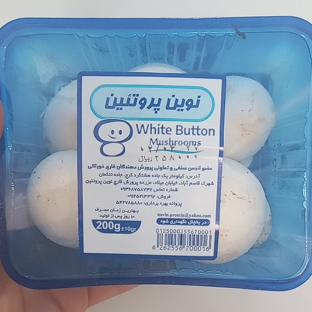 قارچ صدفی بسته بندی  تولید روزانه 