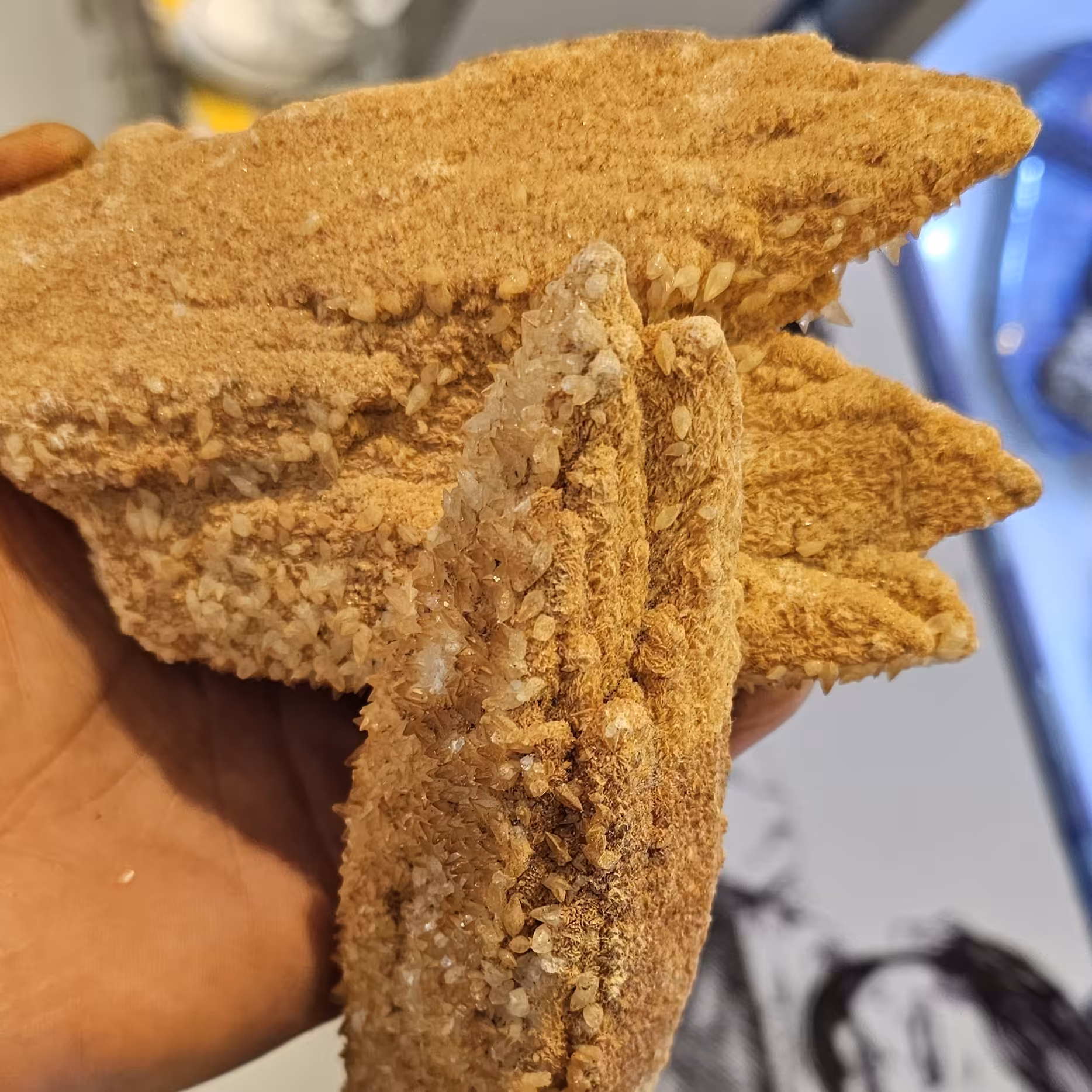 کلاستر کوارتز با هم رشدی هماتوئید کلکسیونی خاص 936گرم