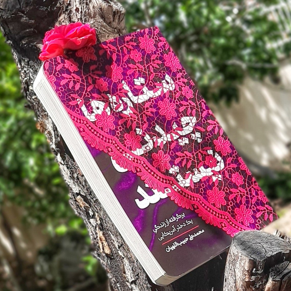 کتاب ستاره ها چیدنی نیستند
