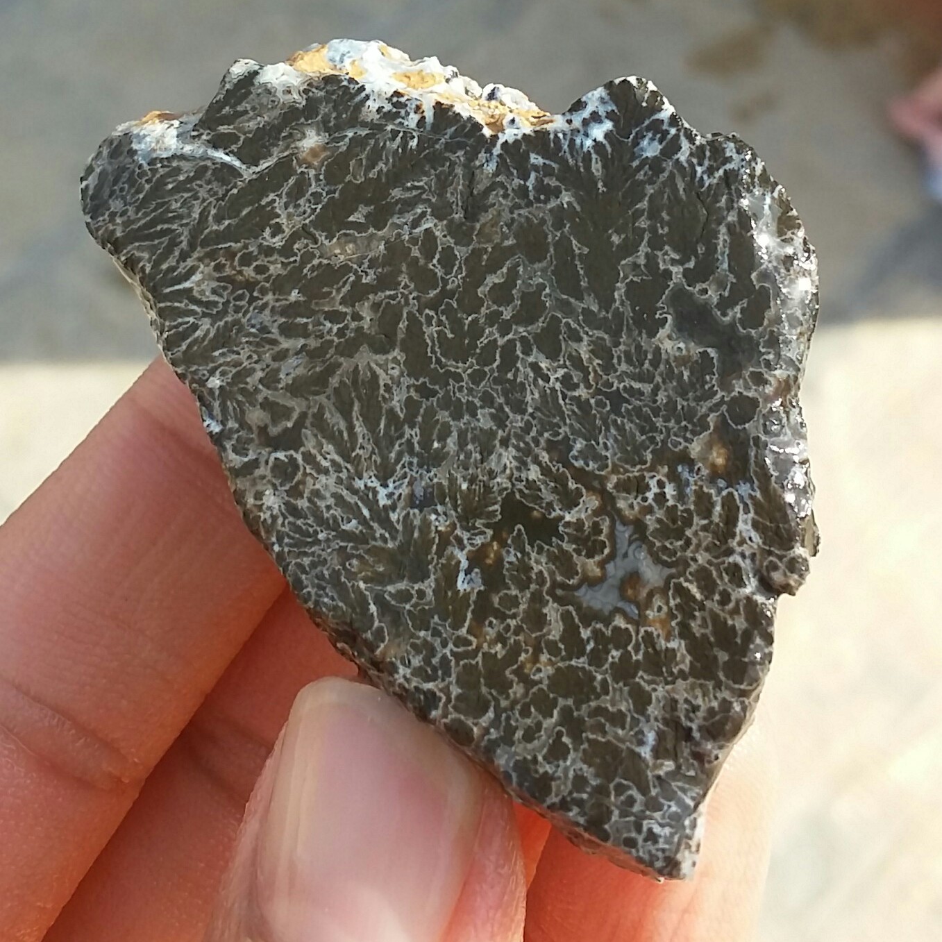 اسلایس سنگ راف عقیق شجر مشکی دو طرفه بسیار زیبا و خاص 100 در 100 طبیعی  شاهکار خلقت
کد 12119