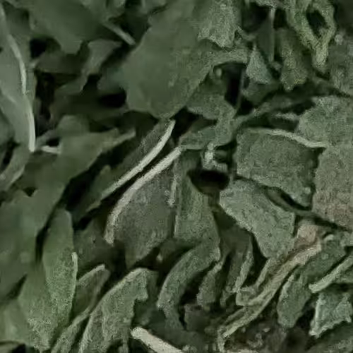 نعنا خشک کاملاا واقعیی و خوشبو و تمیز و بدون ساقه و فوق اعلاا