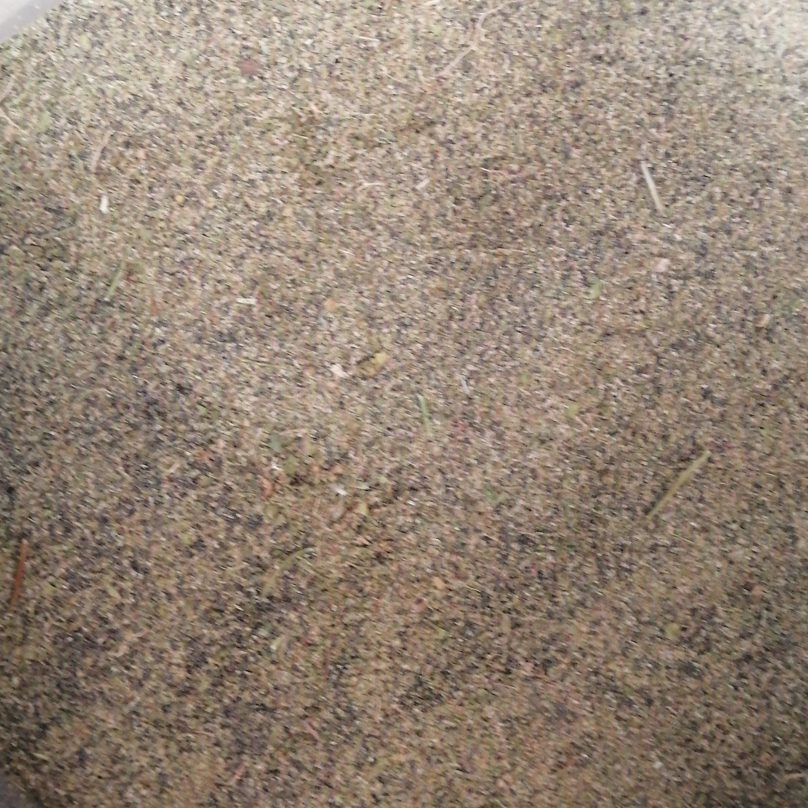 درمنه ترکی 75 گرم