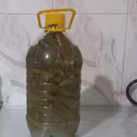 خیارشور  خونگی(2کیلو و نیم)