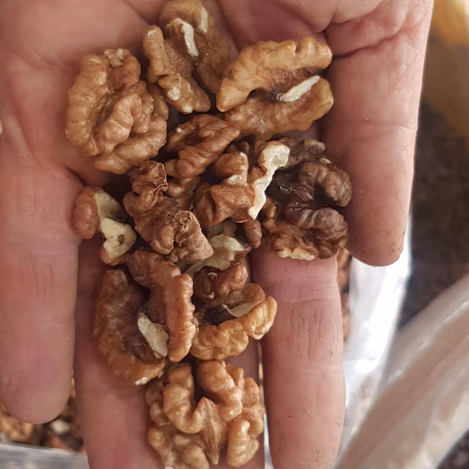 گردوی با طعم خوب و عالی با رنگ سیاه مراغه ای( 1کیلوگرمی)