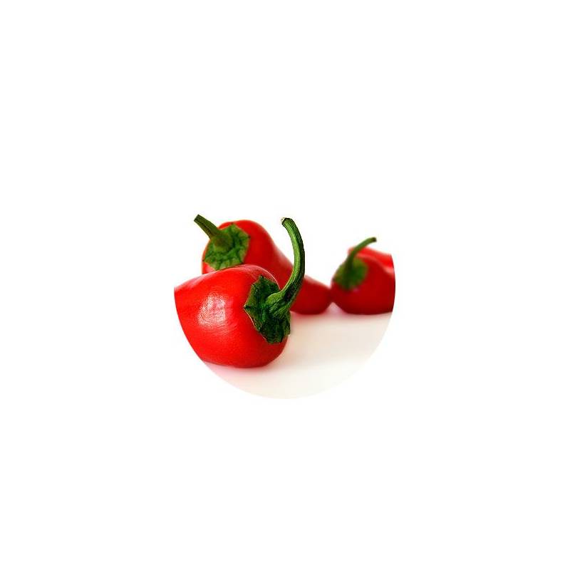روغن ماساژ فلفل قرمز