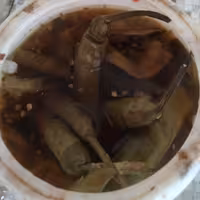 انواع ترشیجات خانگی و بهداشتی  بادمجان شکم پر لیته سالاد سیر ترشی ترشی پیاز ترشی آلبالو ترشی کلم  هفته بیجار 