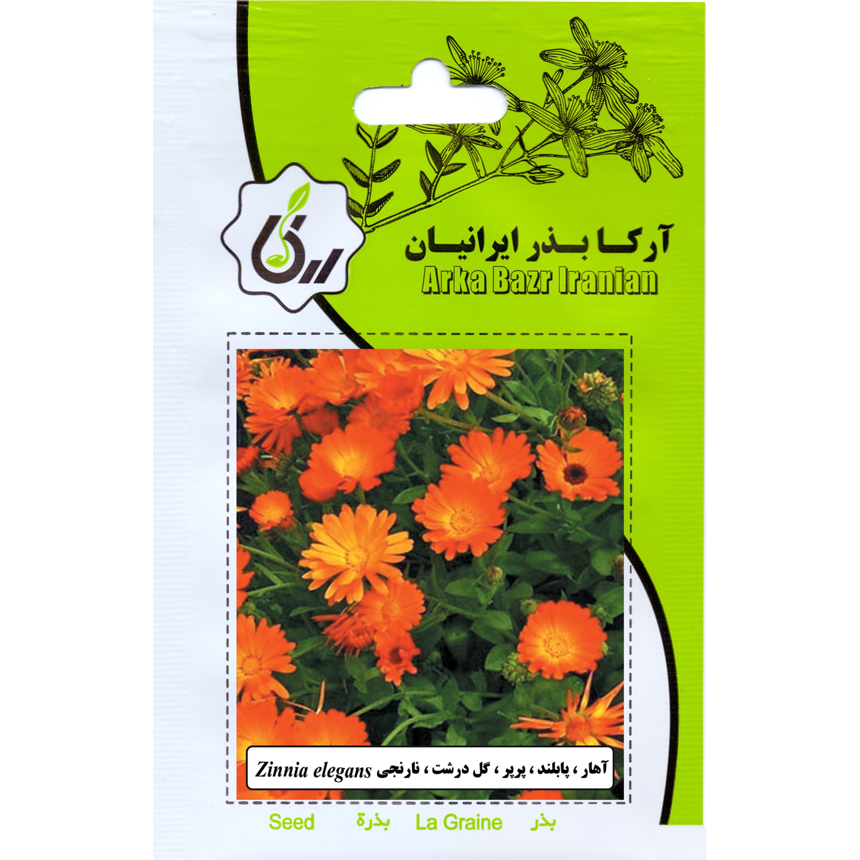 اهار پابلند پرپر گل درشت نارنجی ارکا بذر ایرانیان