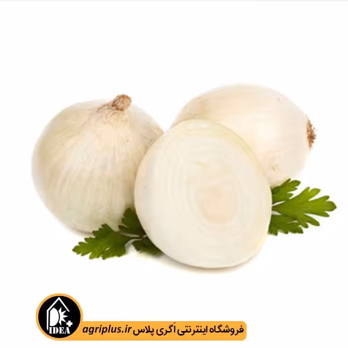 بذر پیاز سفید بسته بندی خانگی