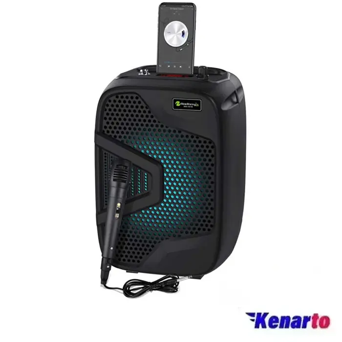 اسپیکر بلوتوثی قابل حمل نیوریکسینگ مدل 501B