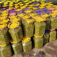 زیتون با هسته ممتاز