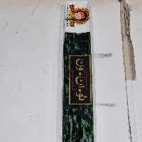 عود گربه ایی