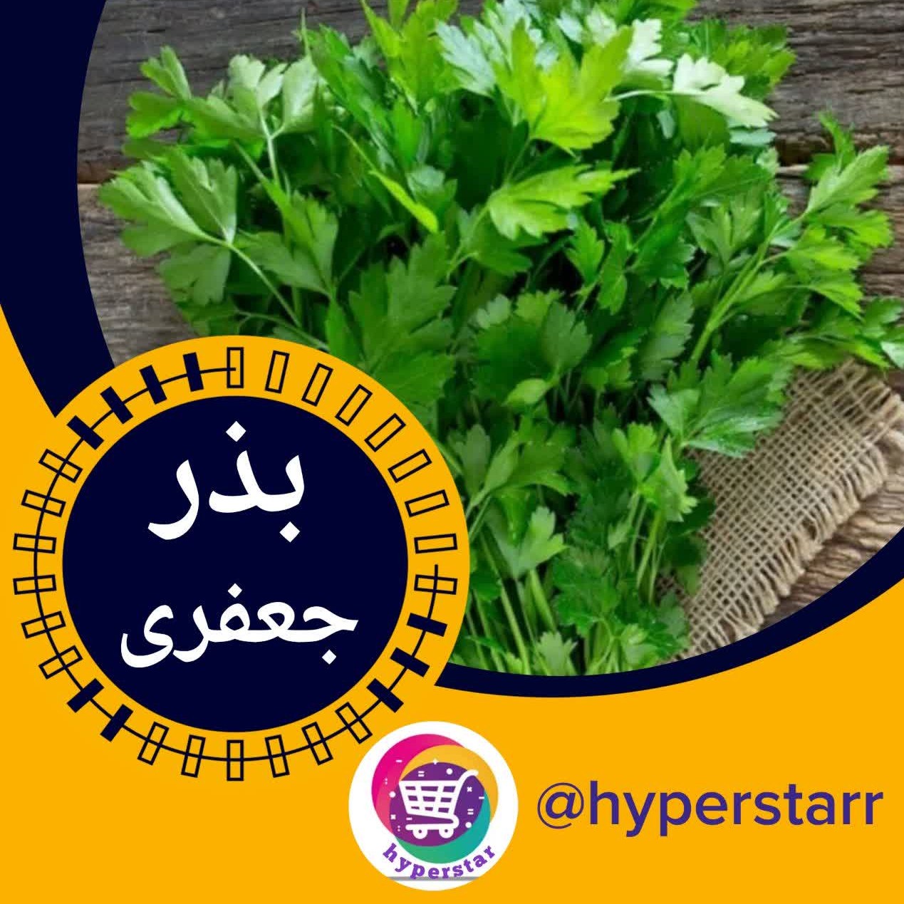 بذر جعفری