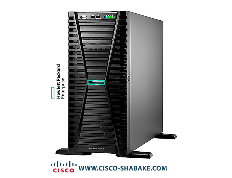 سرور ProLiant ML110 G11 HP