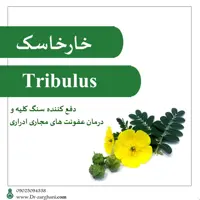 عصاره خوراکی خارخاسک دکتر زرقانی(120 سی سی)