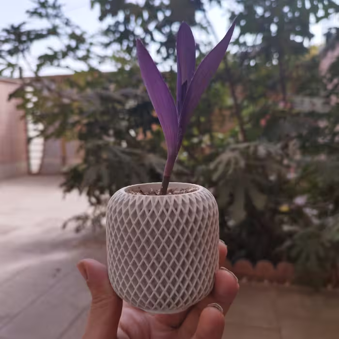 گلدان دکوری طرح لونه زنبوری 