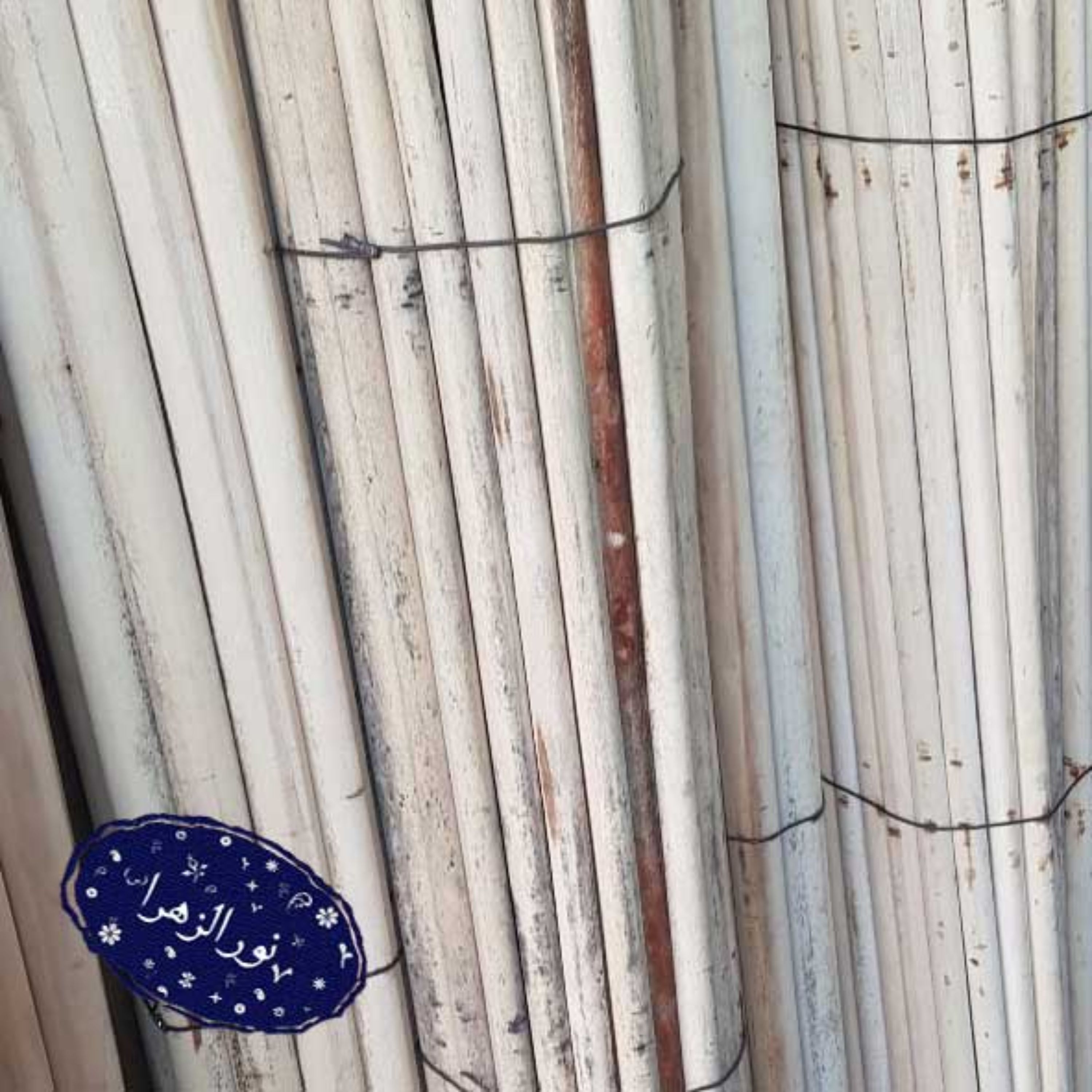 بسته 50 تایی دسته پرچم چوب صنوبر