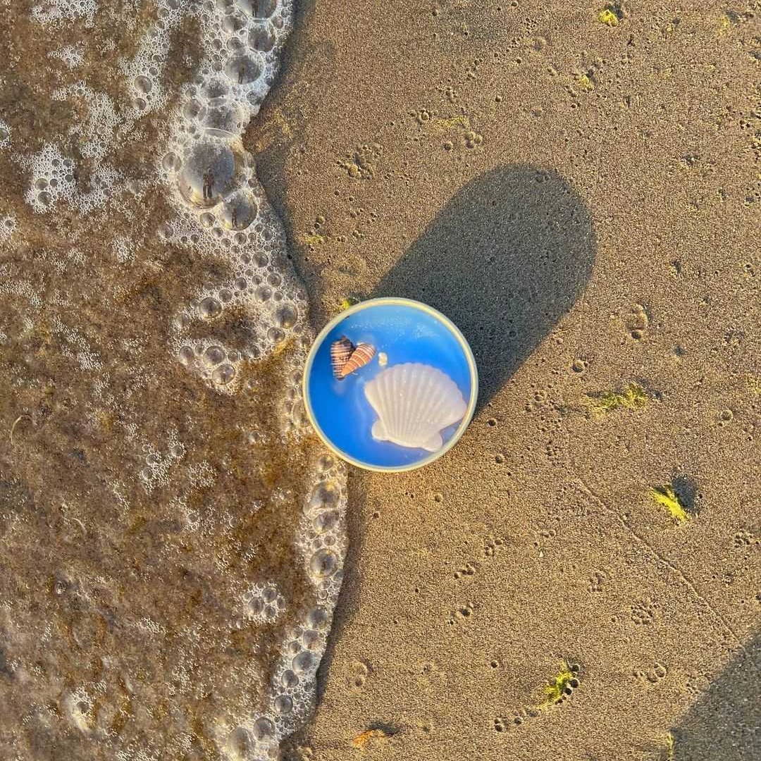 شمع دریایی صدفی با کیفیت بالا - سایز بزرگ