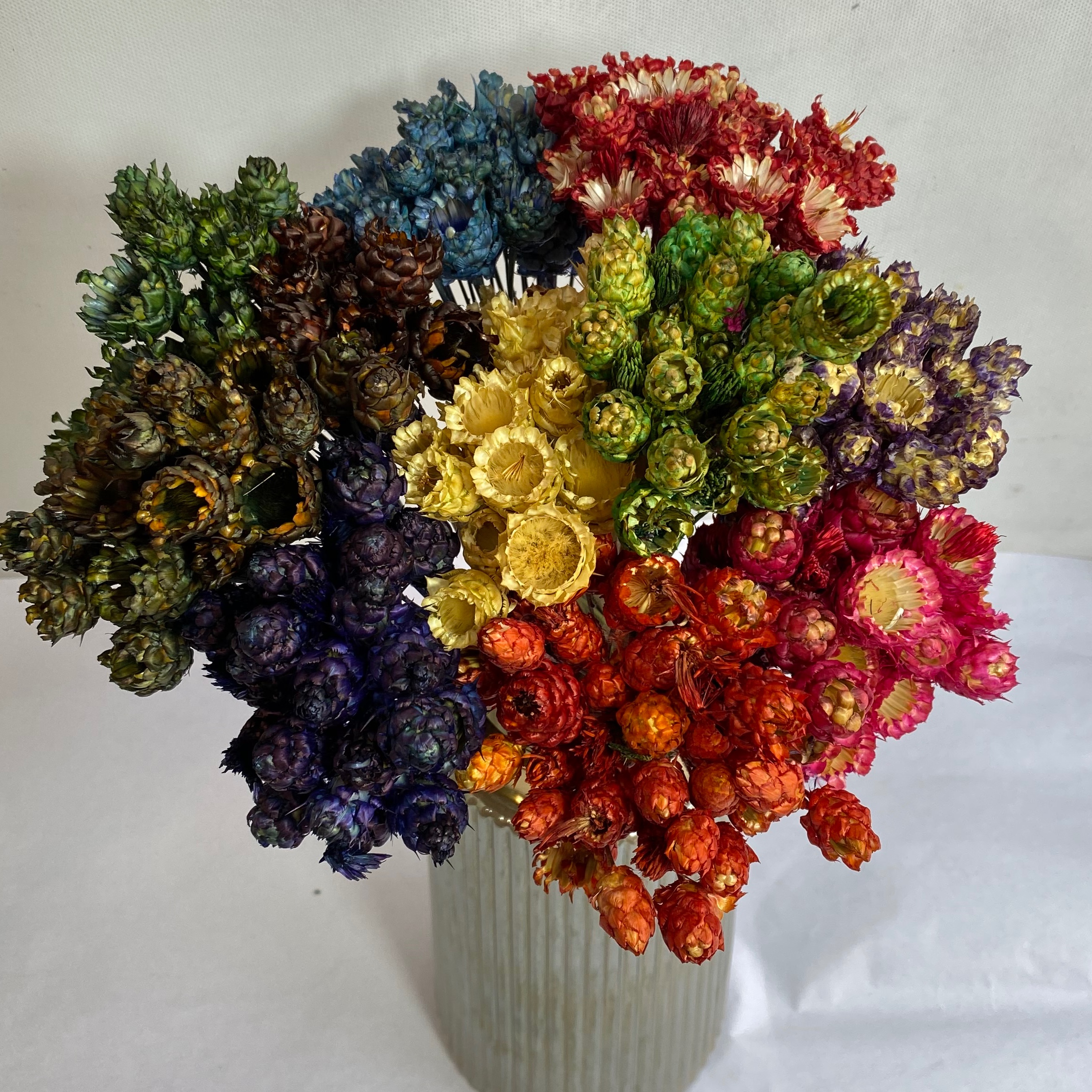 گل ستاره ای 11بسته فروش عمده