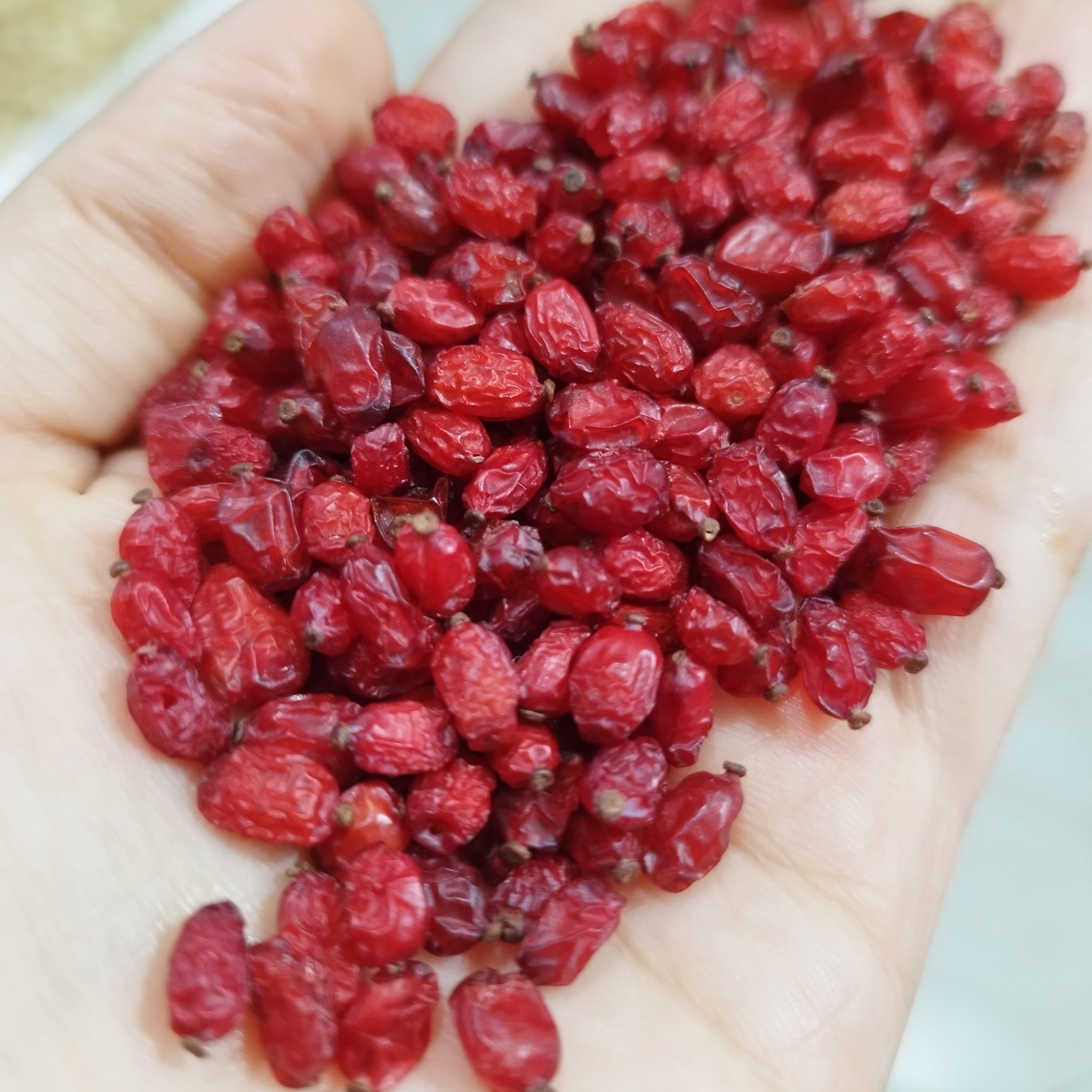 زرشک سرخ درجه یک (100گرمی)