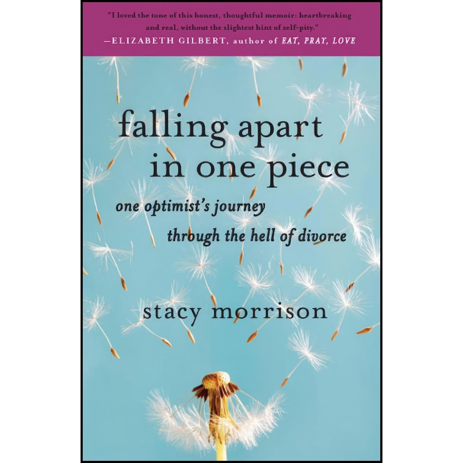 کتاب زبان اصلی Falling Apart in One Piece اثر Stacy Morrison
