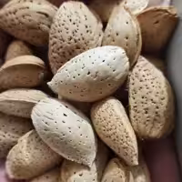 بادام سنگی امسالی (درشت و یکدست) یک کیلویی طهورا