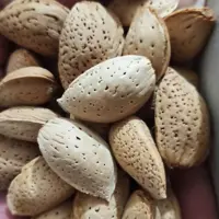 بادام سنگی امسالی (درشت و یکدست) یک کیلویی طهورا
