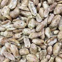 بادام زمینی بدون پوست سبزیجات500 گرم