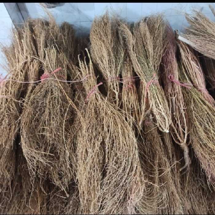 جارو فراشی شهرداری چوبی بی دسته درجه یک