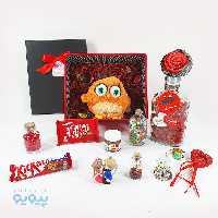 کادوی ولنتاین با عروسک جوجه