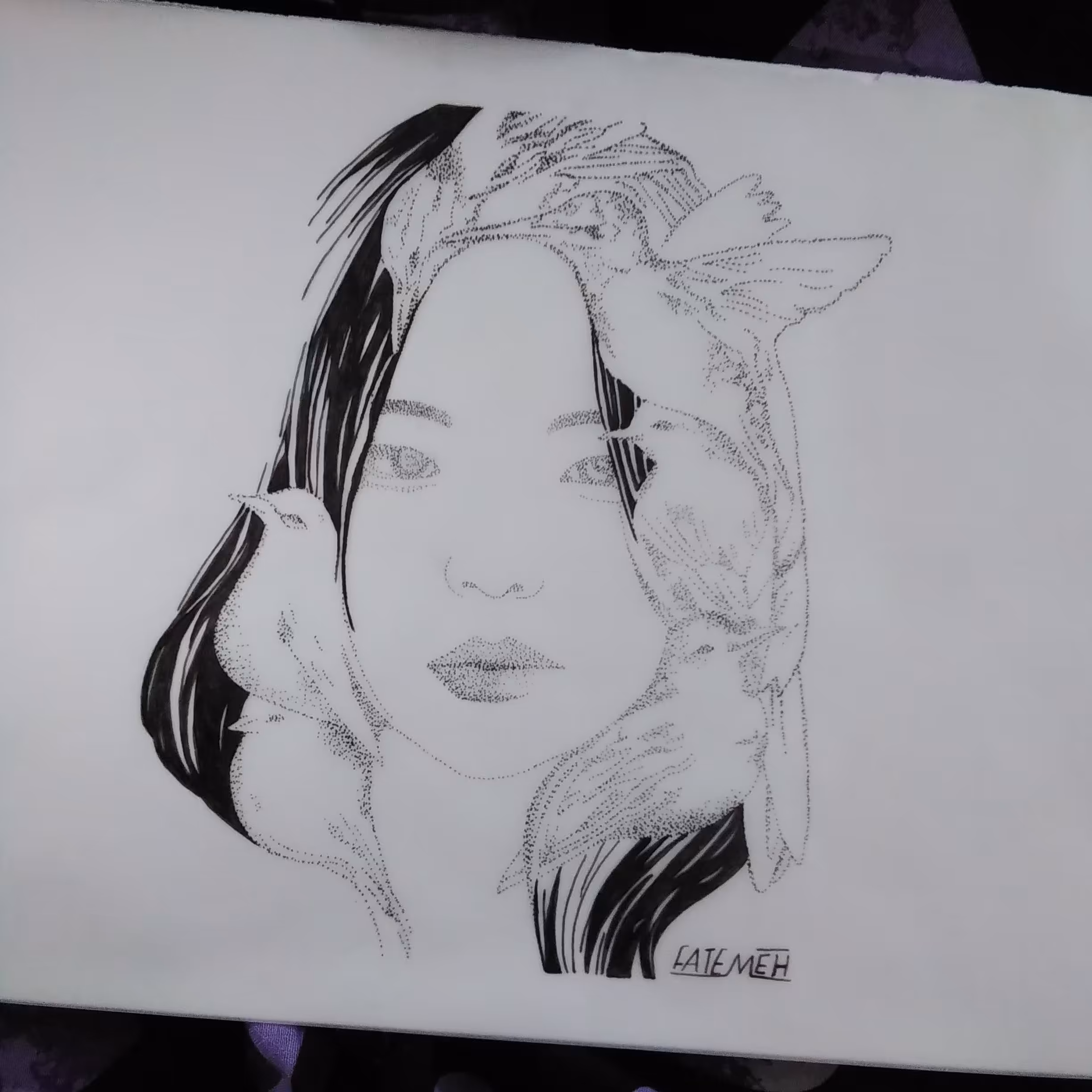 طراحی چهره راپید