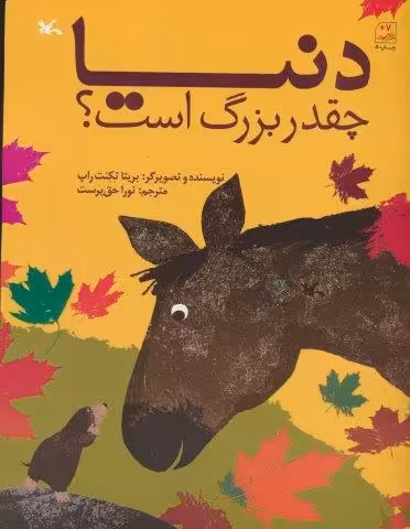 دنیا چقدر بزرگ است؟