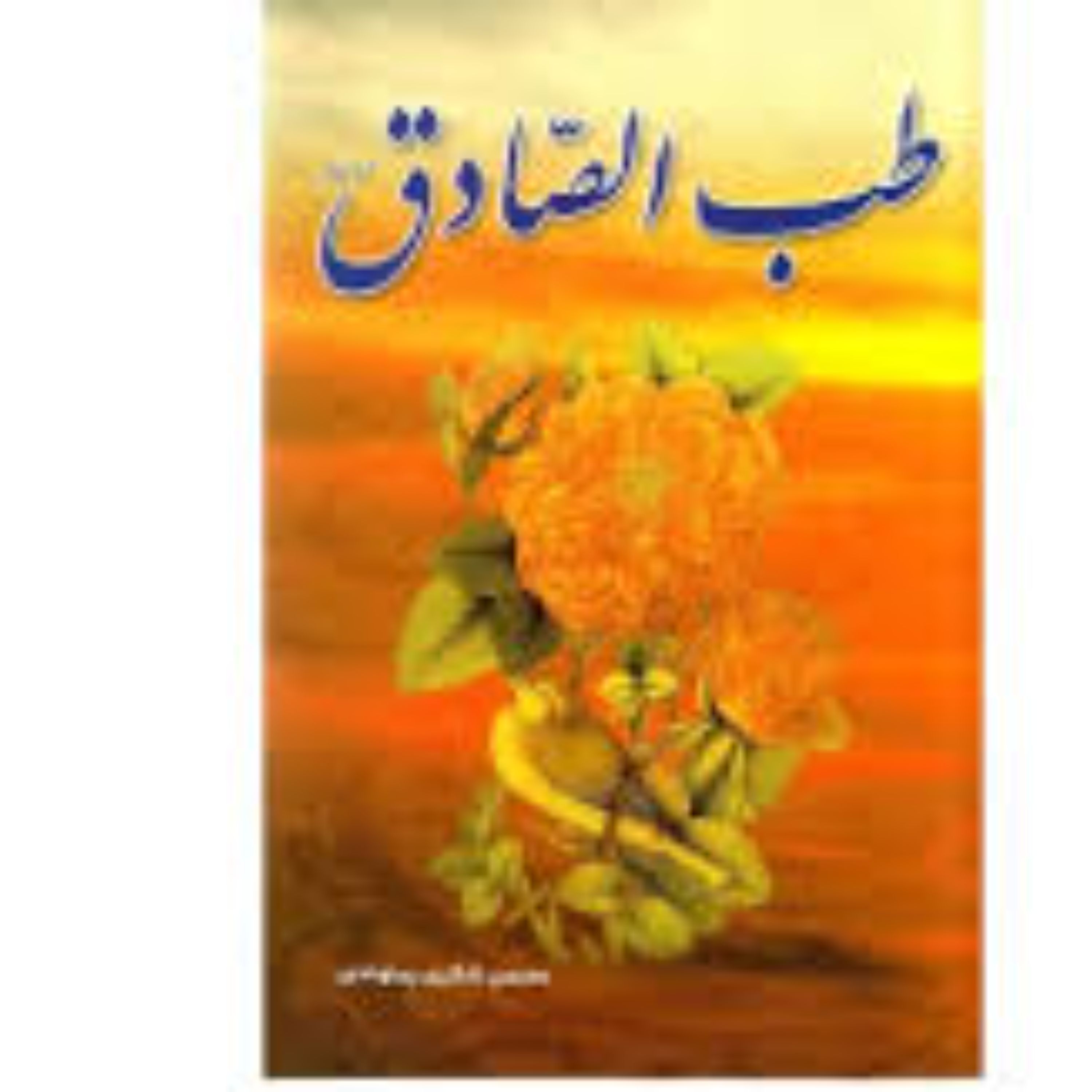 کتاب طب الصادق نویسنده محسن شکری پینوندی