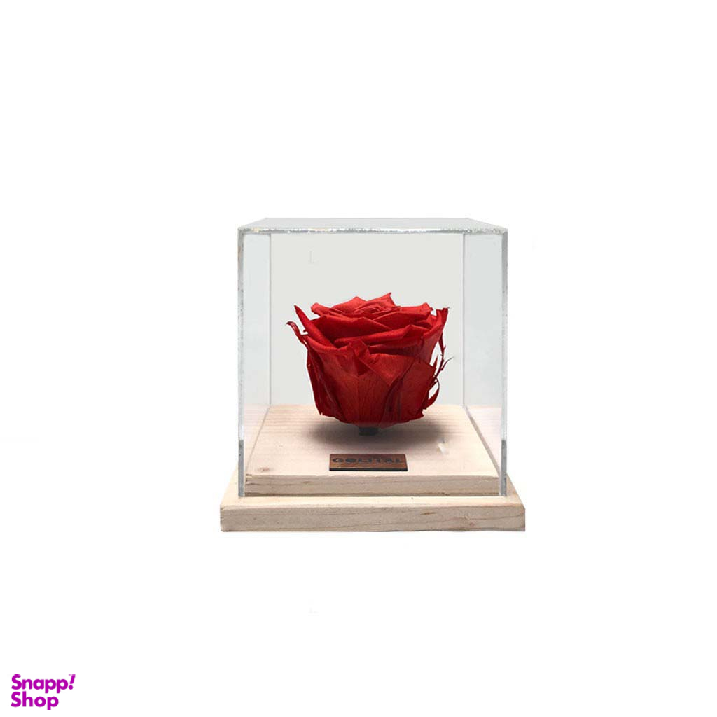 گل رز جاودان مدل پایه چوبی