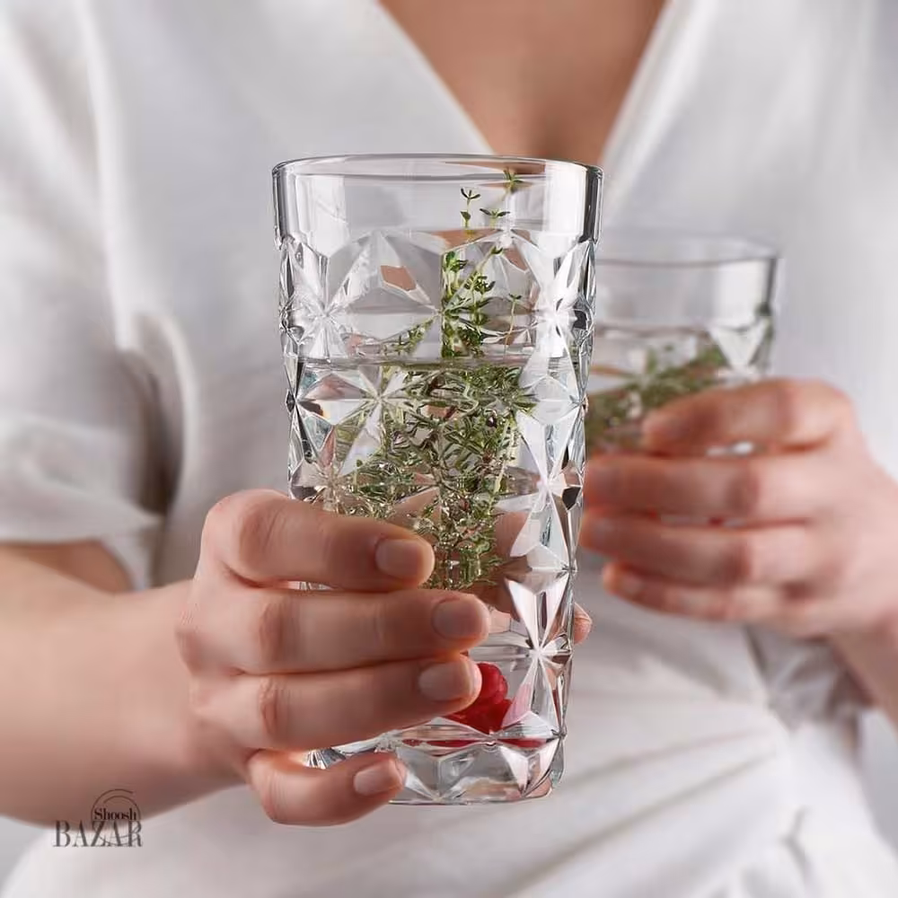 لیوان بلند استرلا پاشاباغچه 490 سی سی کد 520805