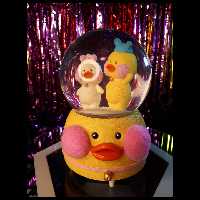 گوی کوکی موزیکال