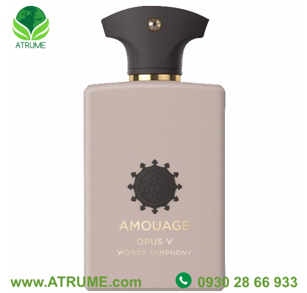 عطر ادکلن آمواج د لایبرری کالکشن اپوس 5 وودز سیمفونی 100 میل مردانه - زنانه