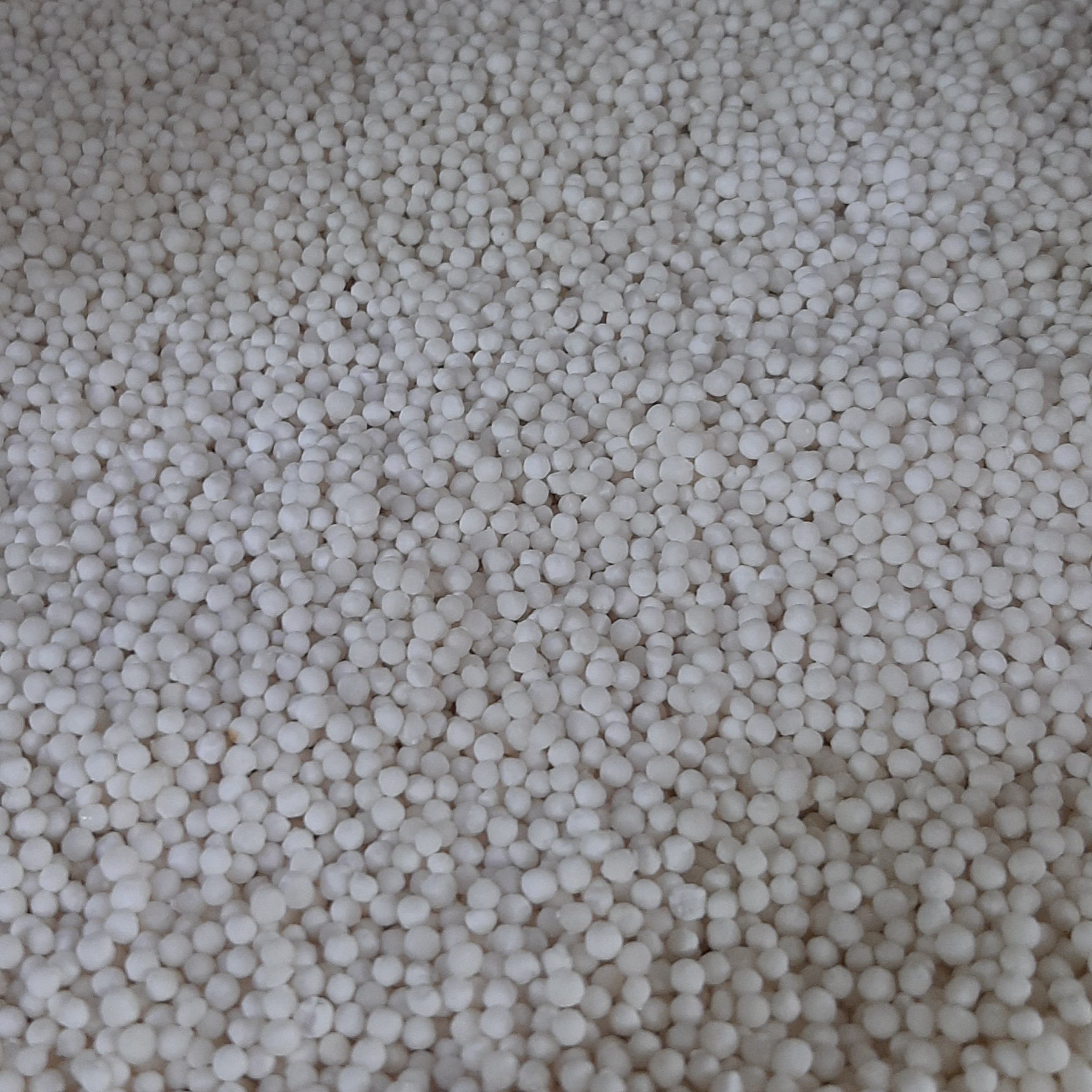 دسر ساگو خارجی 450گرمی (ملایی)