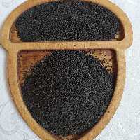 تخم شربتی درشت نیم کیلویی  تمیز و بدون خاک و سنگ 