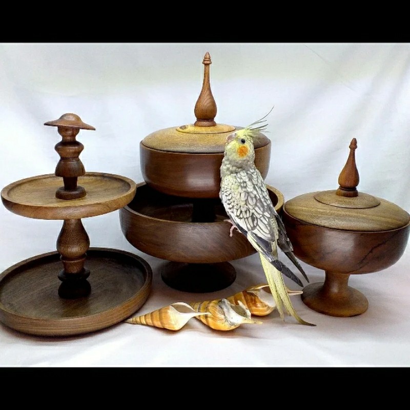 ظروف چوبی  پذیرایی