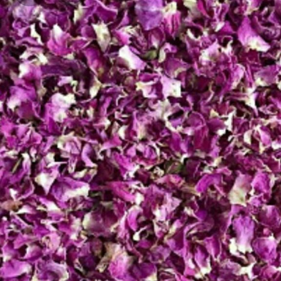 گل محمدی خوش بو و عطر