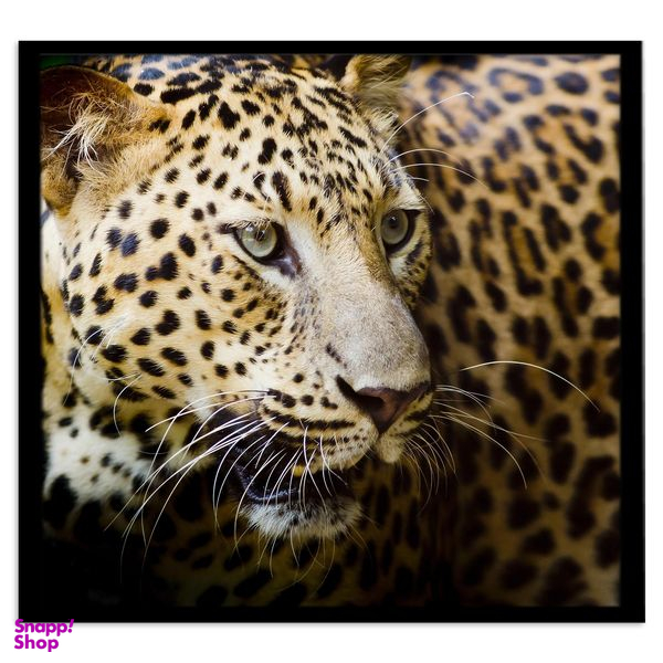 تابلو بکلیت طرح پلنگ مدل B-s1653