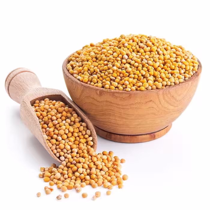 بذر خردل درجه 1  100گرم