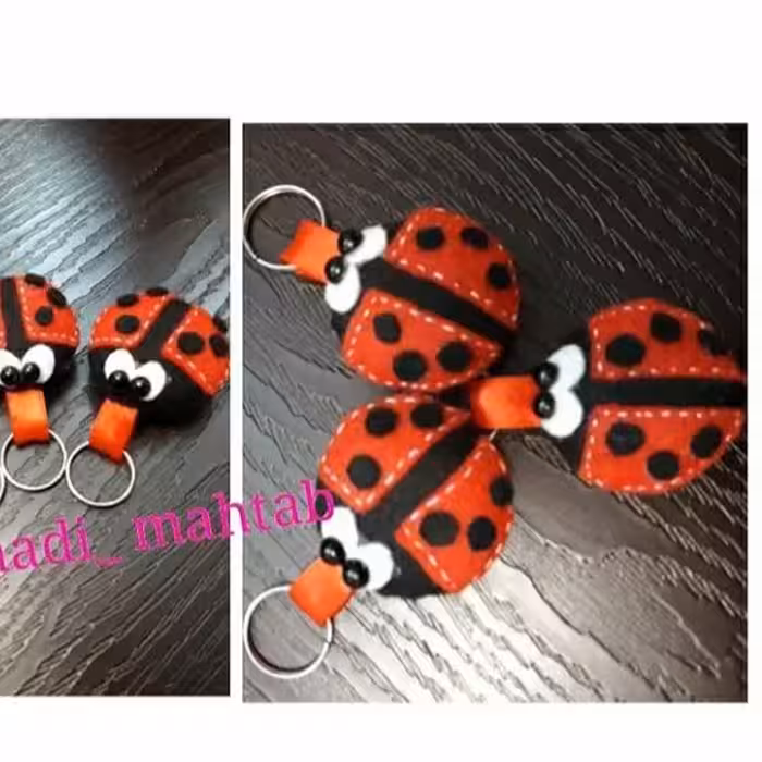 جا کلیدی طرح کفشدوزک