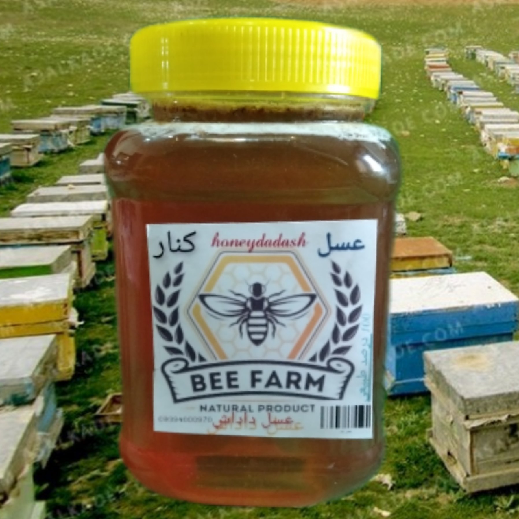 عسل کنار خالص یک کیلویی مستفیم از زنبور دار