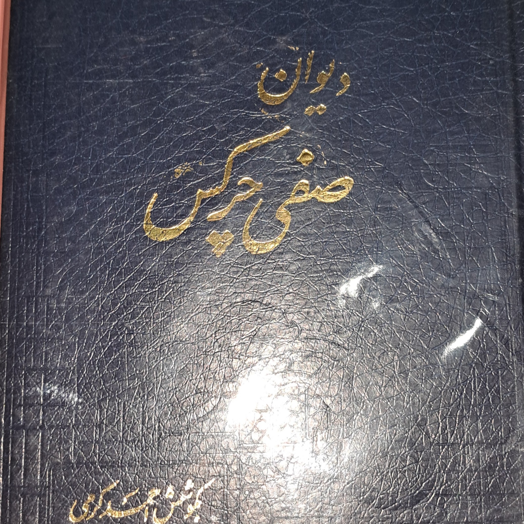 دیوان صفی چرکس