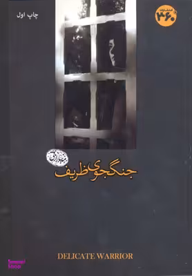 جنگجوی ظریف