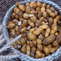 بادام زمینی غلاف دار