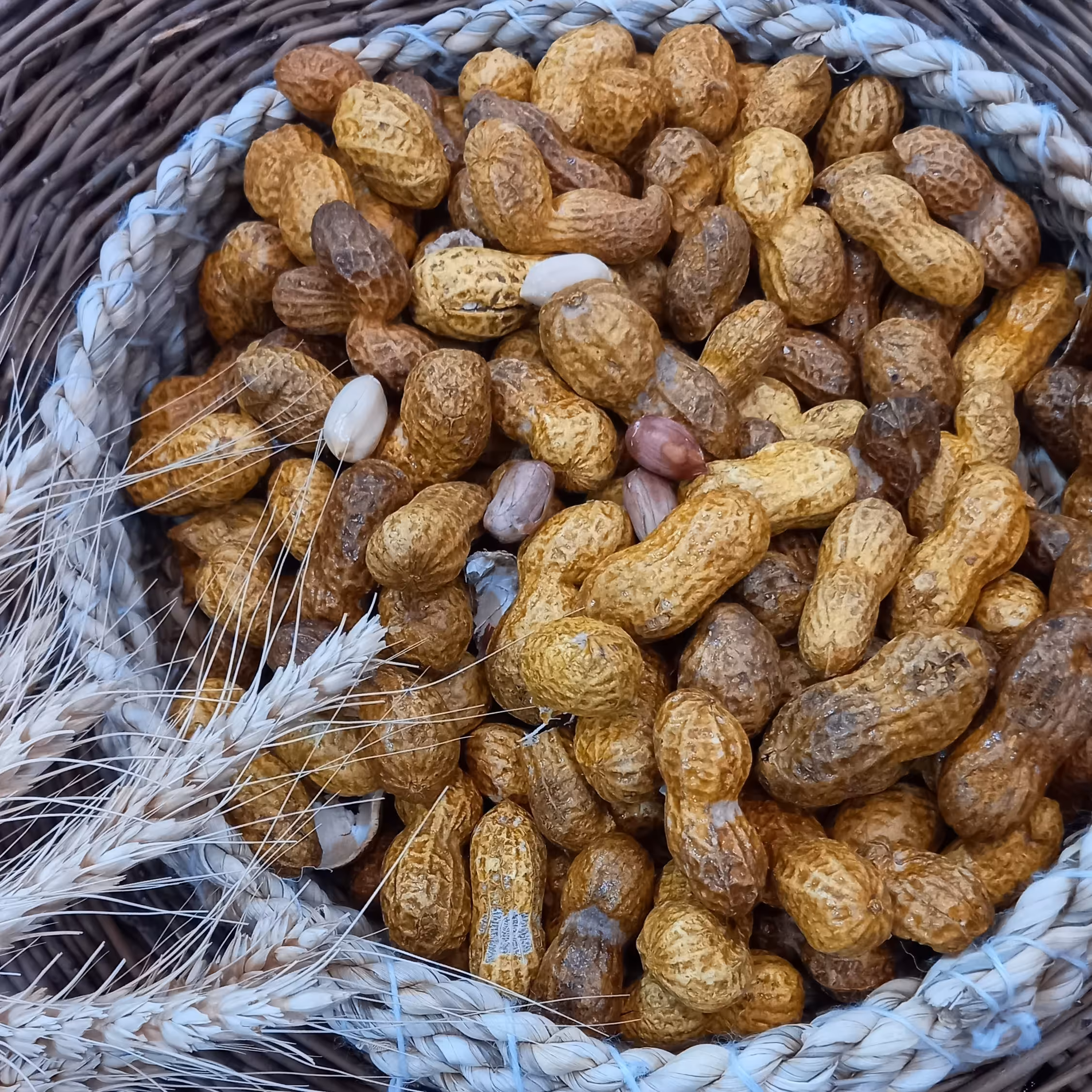 بادام زمینی غلاف دار